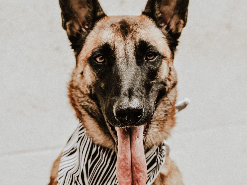 Kikizzzzz Hiro-Nouba-8953